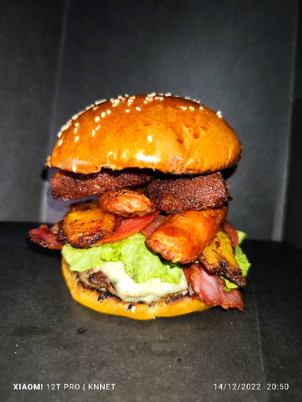 HAMBURGUESA LLANERA